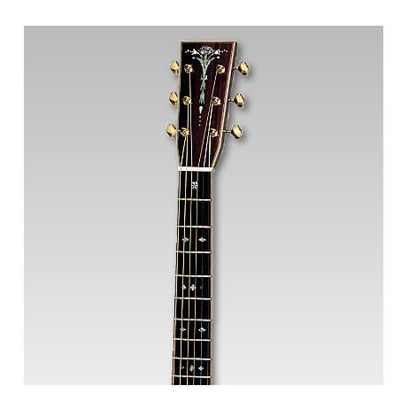 ASTURIAS EC-PRO 美品 ASTURIAS E.C. PRO アコースティックギター〈アストリアス〉 : 楽器de
