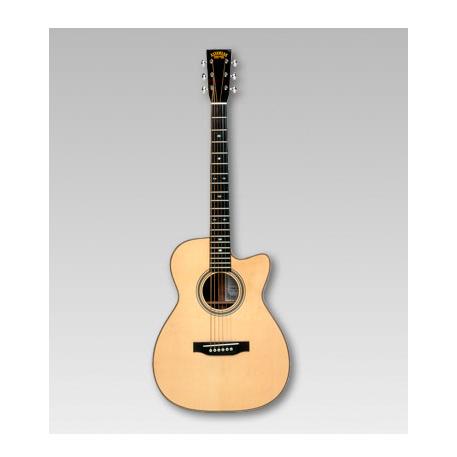 ASTURIAS アコースティック SOLO HERRINGBONE〈アストリアス〉 : 楽器