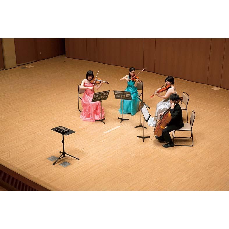 Roland/Support Stand for PC SS-PC1 PC用スタンド〈ローランド〉の画像