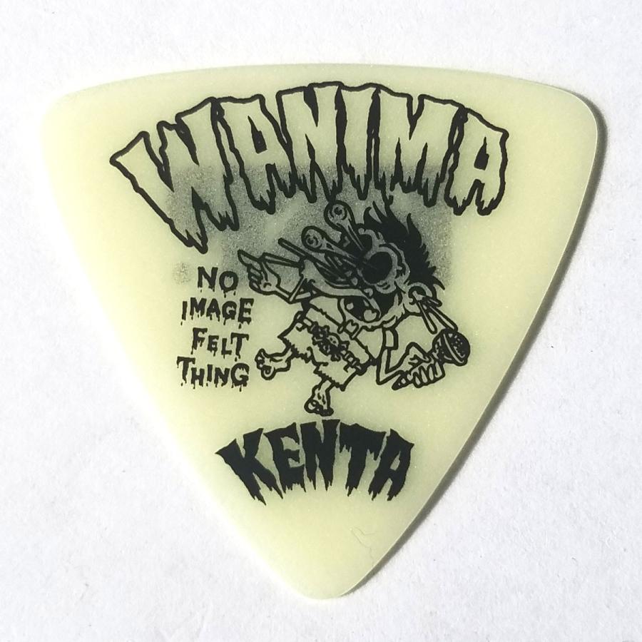 ESP ピック KENTA (WANIMA) PA-WK10-8 / LU アーティストピック : 楽器