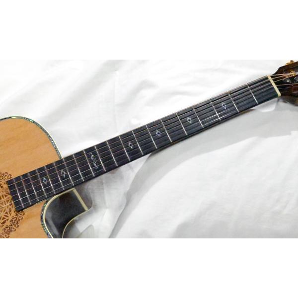ARIA(楽器) アリア SP-250 / J The Soundpiper ハカランダ仕様 ARIA(楽器) アリア SP-250 / J The Soundpiper ハカランダ仕様