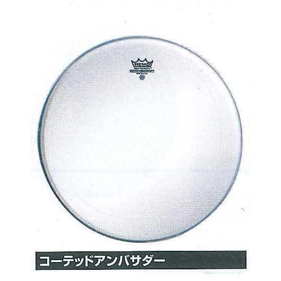 レモヘッド コーティドアンバサダー 114BA Remo Concert Drum Head 