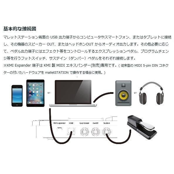 状態良好 希少Pearl malletSTATION EM-1付属品色々有ります パール マレットステーション EM-1 専用ソフトケースセット