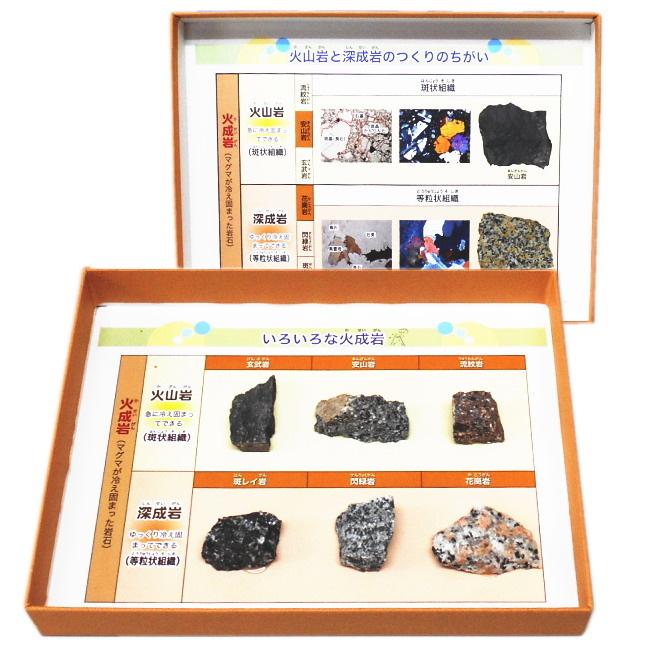 理科岩石標本 代表的な火成岩とそのつくり6種組 鉱物 鉱石 標本 コレクション 自由研究 観察 発掘 夏休み 冬休み 小学生 実験 1 147 0144 学校教材ネットショップ ヤフー店 通販 Yahoo ショッピング