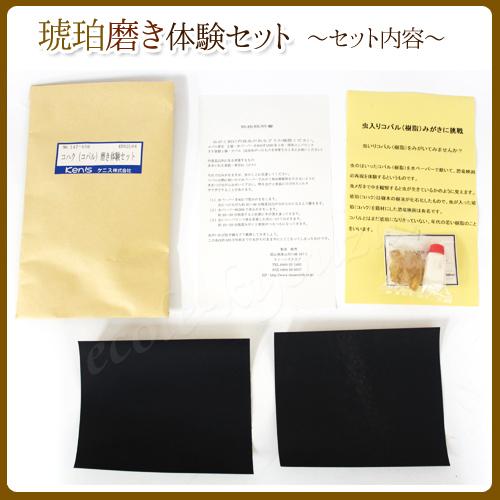 コハク コパル 磨き体験セット 琥珀 理科 自由研究 科学工作 贈与 高学年向け ネコポス 夏休み 冬休み 理科工作 理科実験 小学生