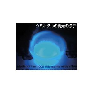 ウミホタル発光観察セット 生物発光 理科 自由研究 夏休み 冬休み 中学生 理科実験 Observation Kit For Luminescence Of Sea Firefly 学校教材ネットショップ ヤフー店 通販 Yahoo ショッピング
