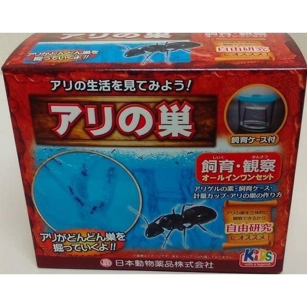 あり観察キット アリ伝説 ニチドウ アリの巣 夏休みの自由研究にも人気