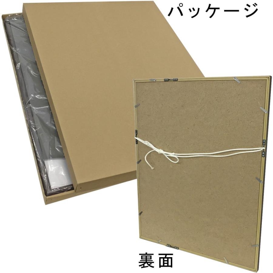 ユニフォーム額 6700N UVカット強化型アクリル付 /額外寸:約473×624 額
