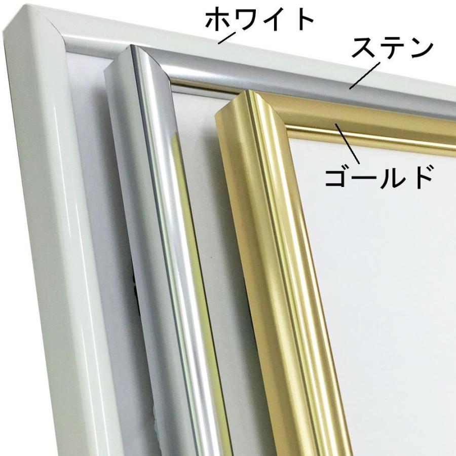 一般額(デッサン額) BH-15F アクリル付 /額縁内寸法:500×600(5060)の画像