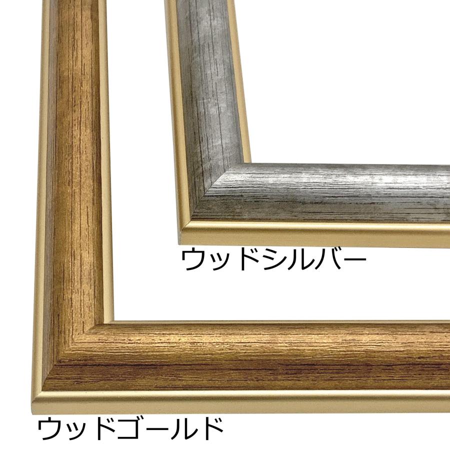 一般額(デッサン額) BH-18F アクリル付 /額縁内寸法:500×600(5060)の画像