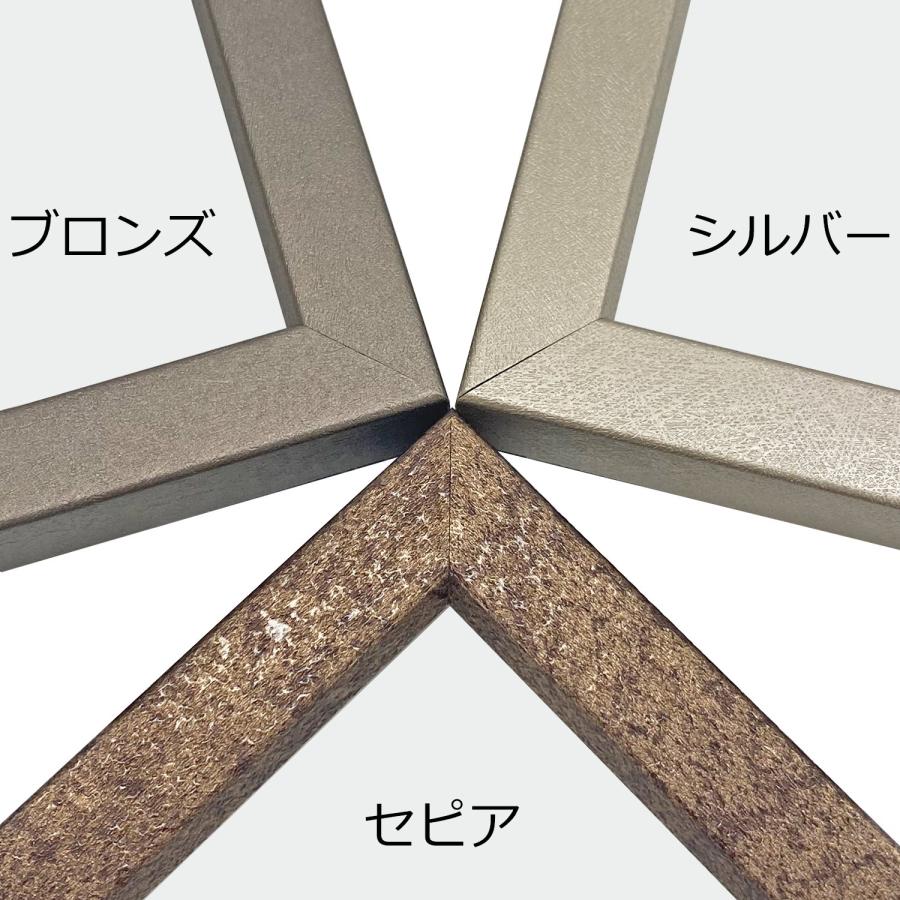 一般額(デッサン額) MH-212H アクリル付 /500×600(5060)の画像