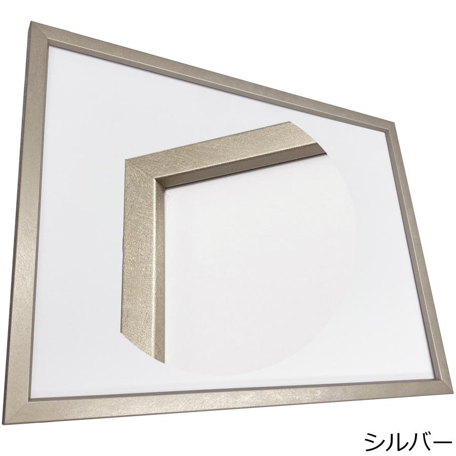 一般額(デッサン額) MH-212H アクリル付 /500×600(5060)の画像