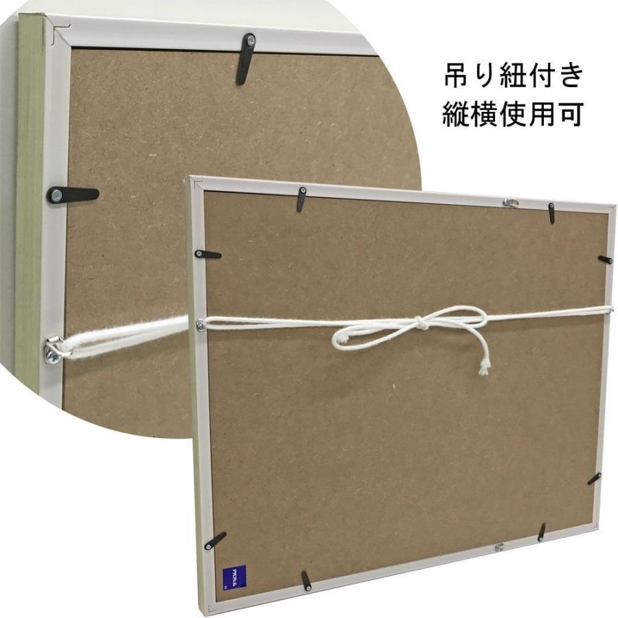 一般額(デッサン額) MH-E33H アクリル付 /額縁内寸法:500×600(5060)の画像