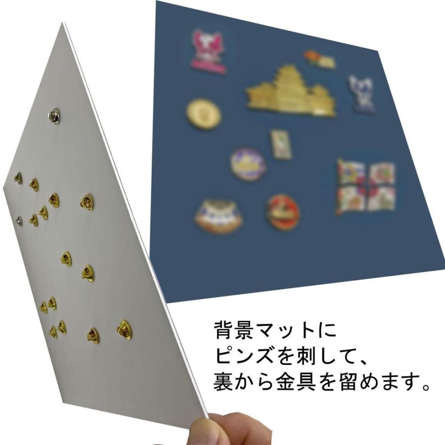 ピンバッジ(ピンズ)専用額 5767 ガラス付 /額縁内寸法:211×298(A4