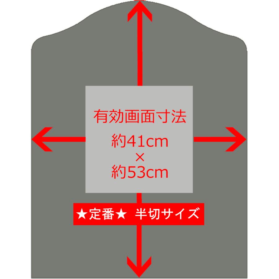 ユニフォーム額 BH-15F アクリル付/額外寸:約446×567 額内寸:509×660(小全紙)｜gakubuti｜12