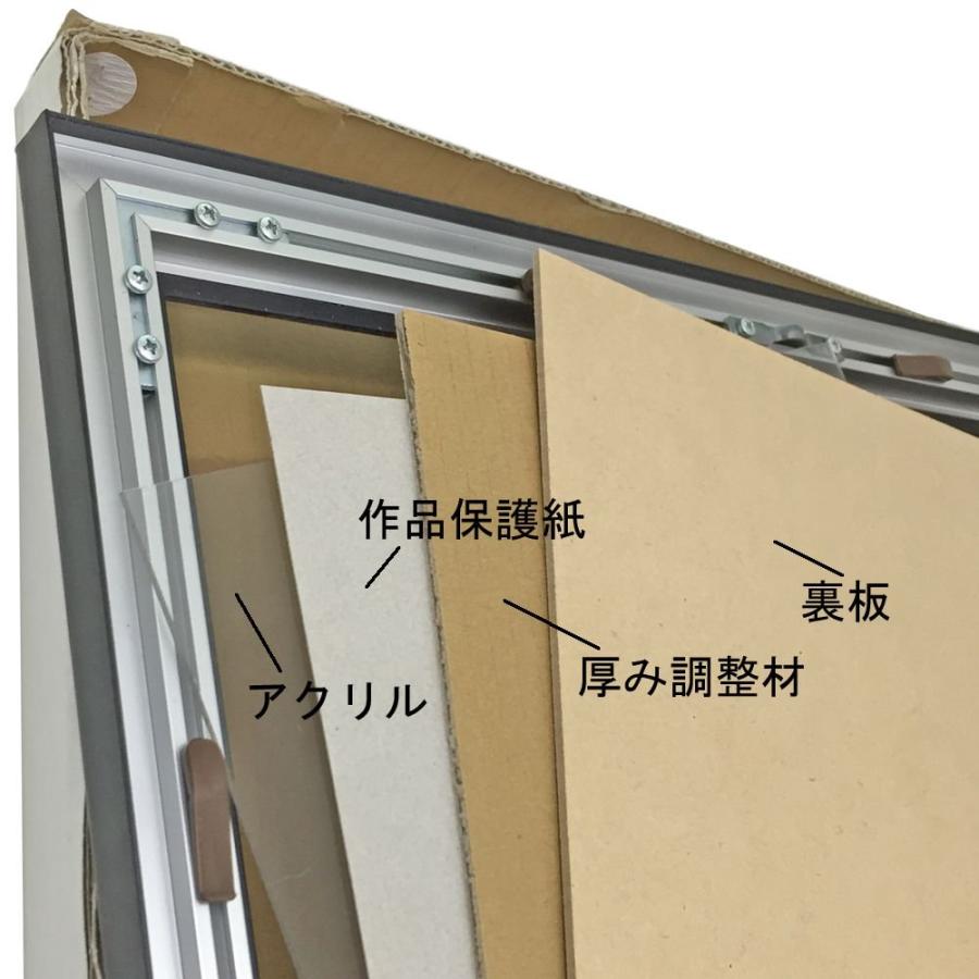 書道額 CF アクリル付 /260×785(埼玉判)サイズの作品用 /額縁内