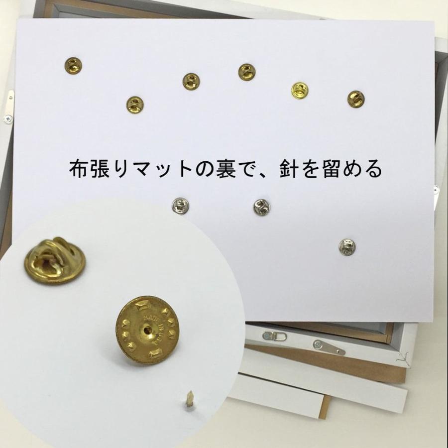 ピンズ・ピンバッジ額 レイヤーボックス アクリル付 /額縁内寸法:298