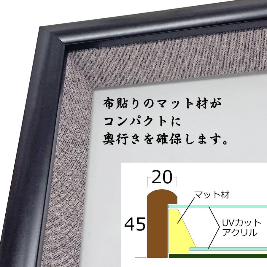 ケースも飾れる褒章記褒章額 志賀 各種褒章専用額(紅綬褒章 /緑綬褒章