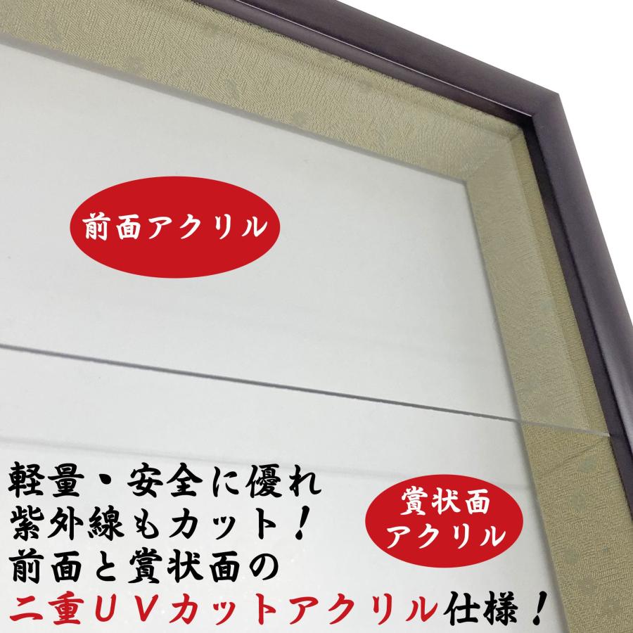 ケースも飾れる褒章記褒章額 志賀 各種褒章専用額(紅綬褒章 /緑綬褒章