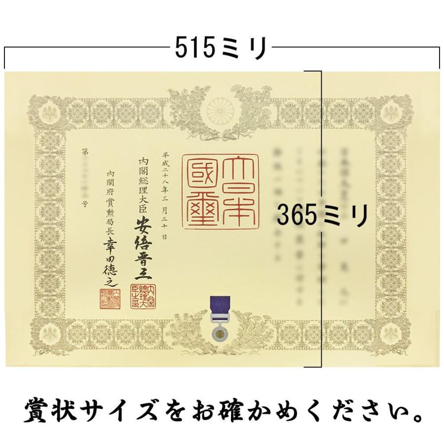 ケースも飾れる褒章記褒章額 志賀 各種褒章専用額(紅綬褒章 /緑綬褒章