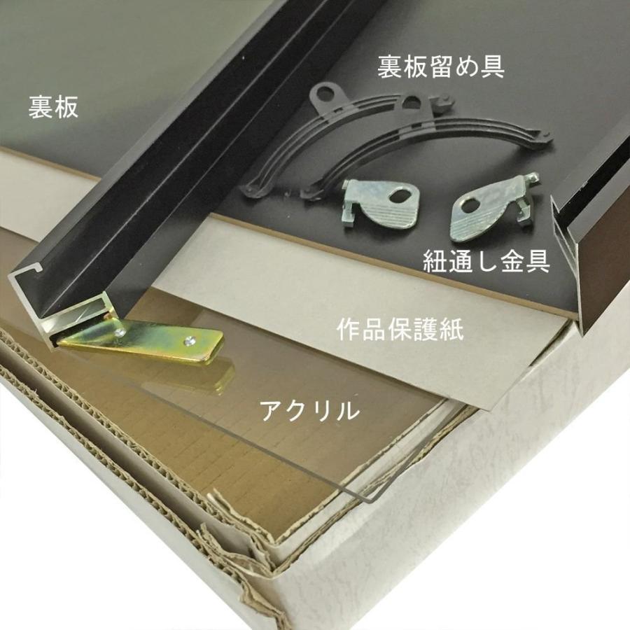 一般額(デッサン額) SL-202N アクリル付 /額縁内寸法:729×912(ジャスト30F) /大型A 時間指定・日祝配送不可の画像