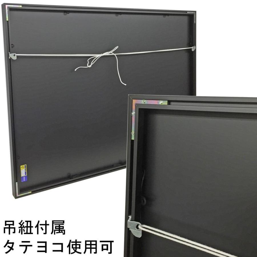 一般額(デッサン額) SL-202N アクリル付 /額縁内寸法:729×912(ジャスト30F) /大型A 時間指定・日祝配送不可の画像
