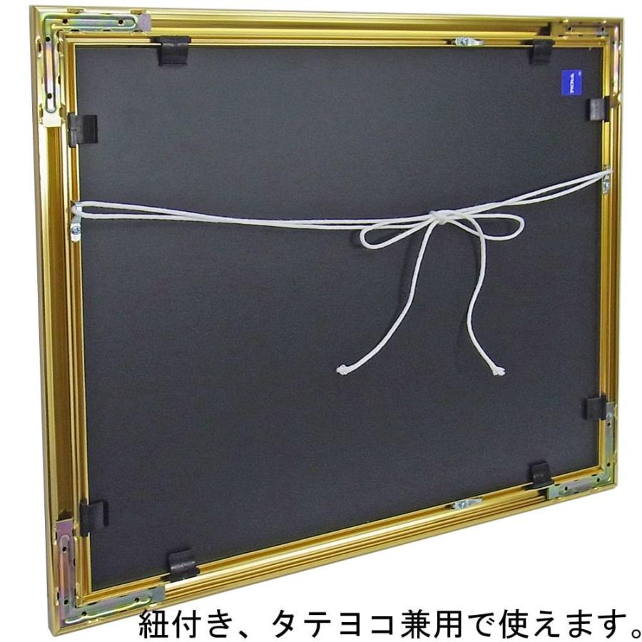 一般額(デッサン額) MB-700N アクリル付 /額縁内寸法:680×990(輸入菊全) /大型A 時間指定・日祝配送不可の画像