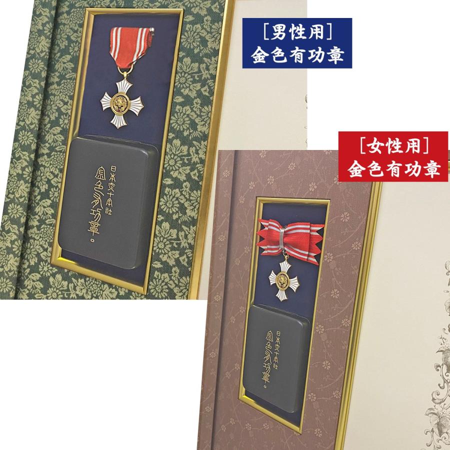 日本赤十字社 金色・銀色有功章 男性用」赤十字表彰額 GT24 日本赤十字社銀色有功章・日本赤十字社金色