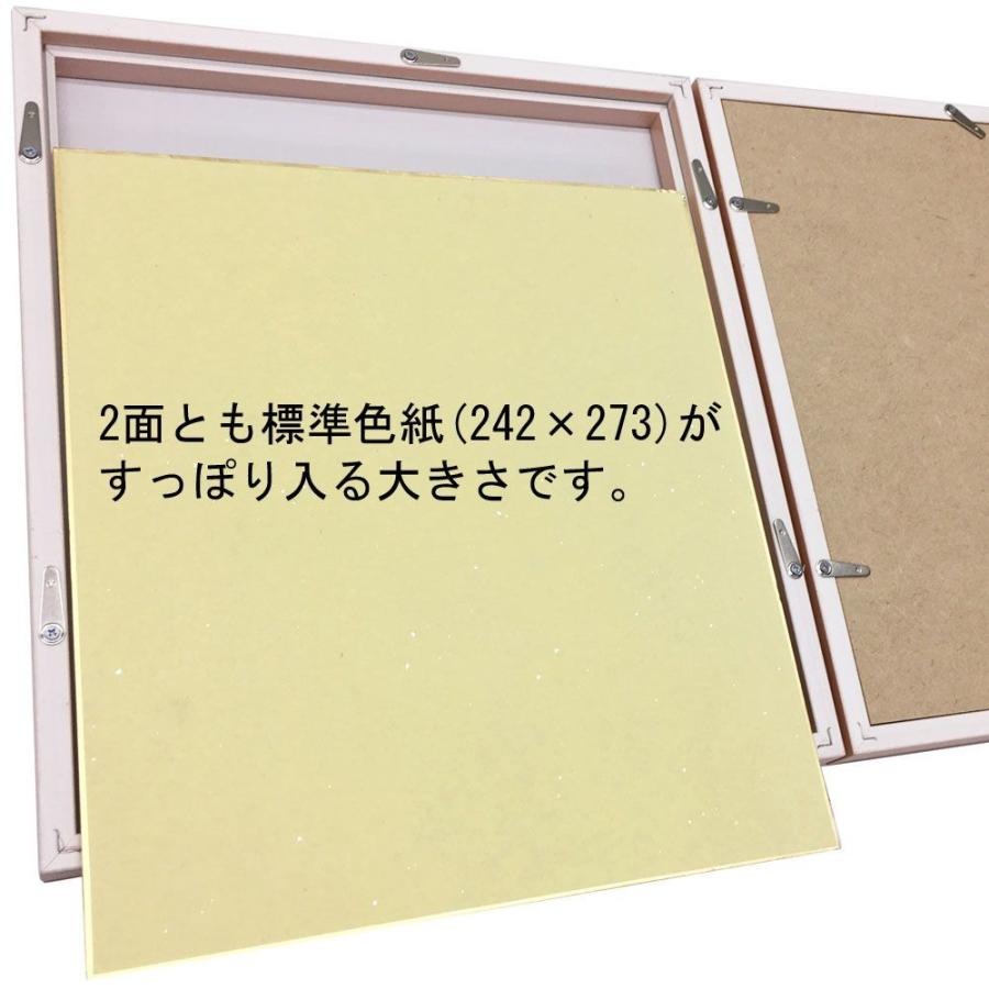 2面色紙額 メモリアルフレーム ダブル アクリル付 242 273 色紙 サイズの色紙2枚用 見開きにした大きさ 295 533 5 265 295 額縁のタカハシ Yahoo 店 通販 Yahoo ショッピング
