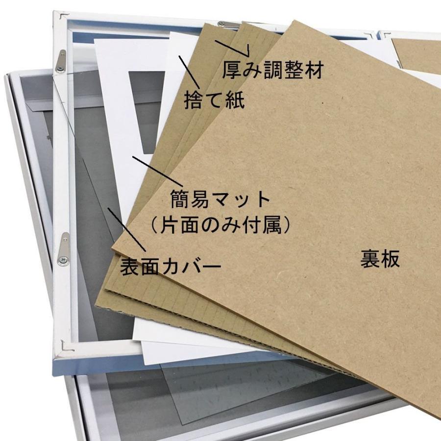 2面色紙額 メモリアルフレーム ダブル アクリル付 /242×273(色紙