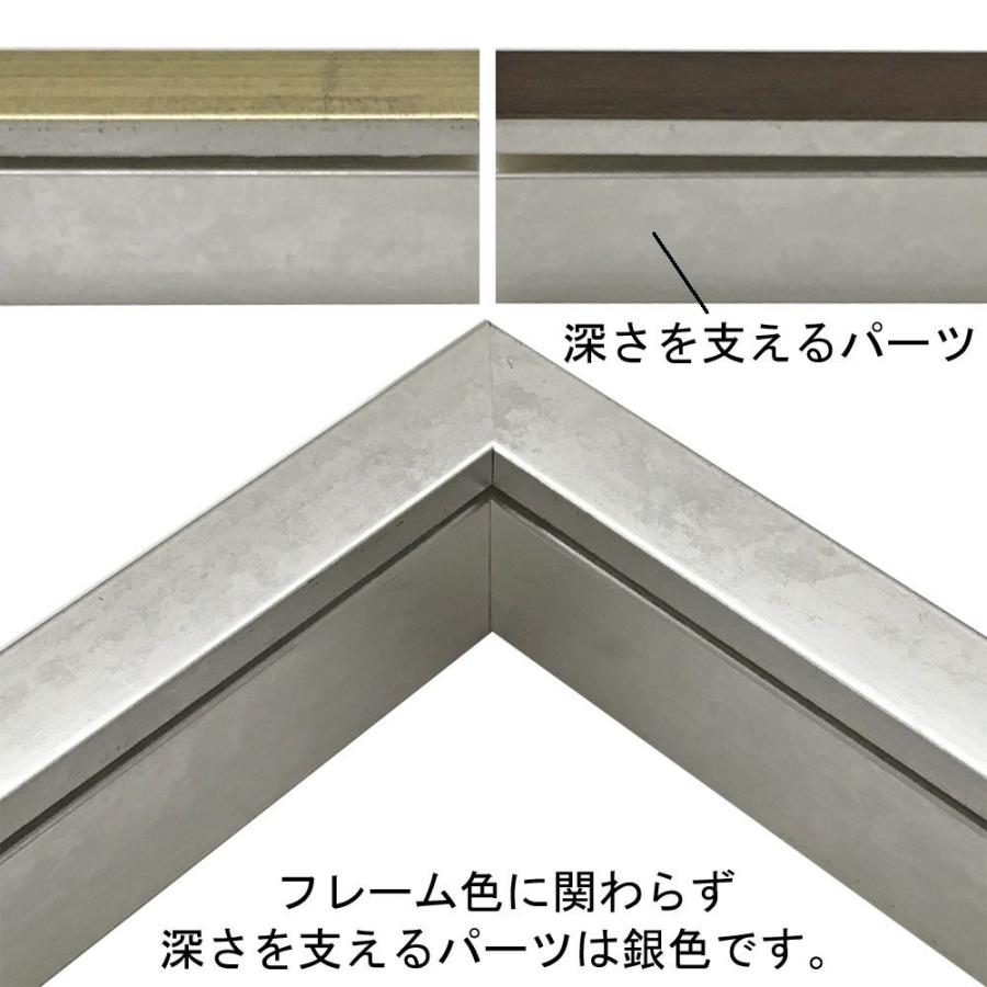 立体額 BH-E26N アクリル付 /額縁内寸法:450×900(4590)の画像