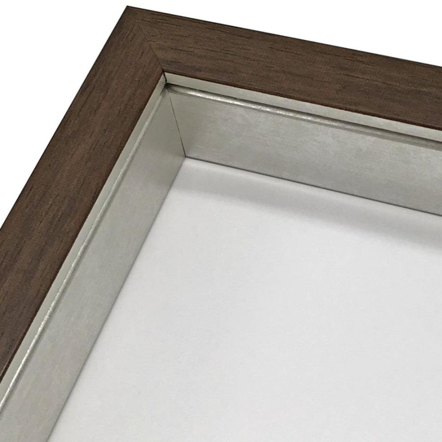 立体額 BH-E26N アクリル付 /額縁内寸法:450×900(4590)の画像