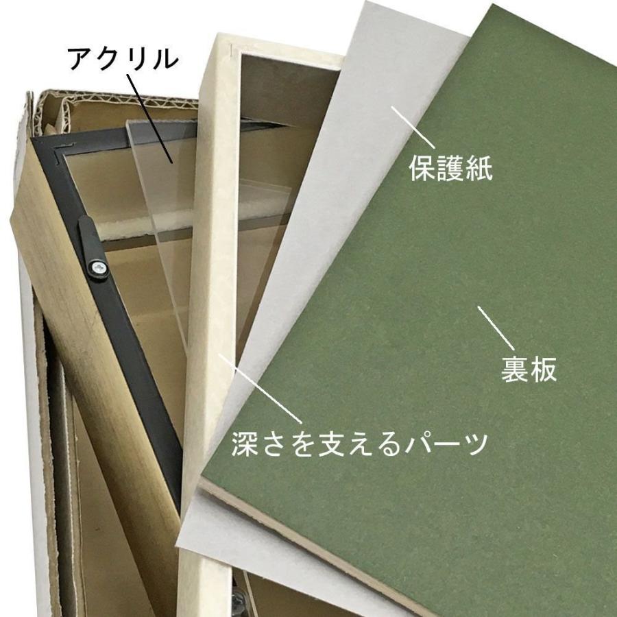 立体額 BH-E26N アクリル付 /額縁内寸法:450×900(4590)の画像