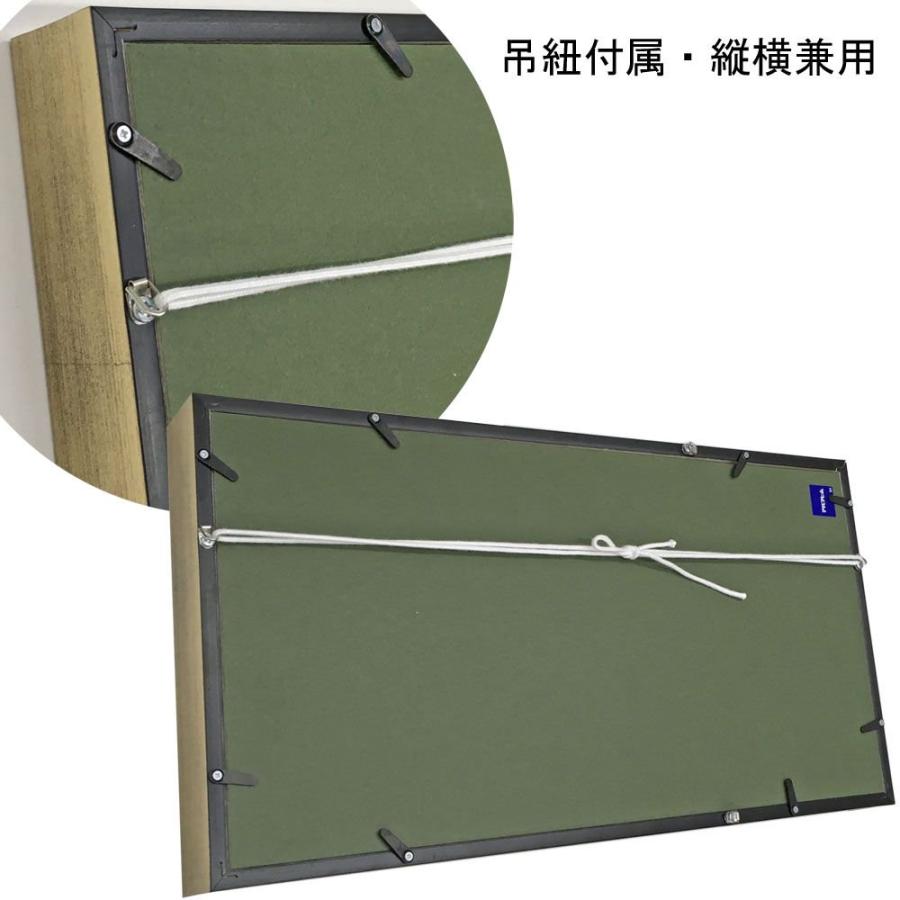 立体額 BH-E26N アクリル付 /額縁内寸法:450×900(4590)の画像