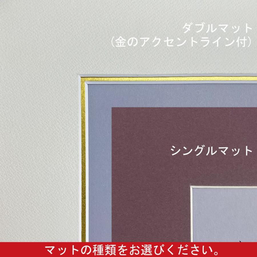 色紙複数入 CF アクリル付 /242×273(色紙六枚入) /660×850(大判) /色紙