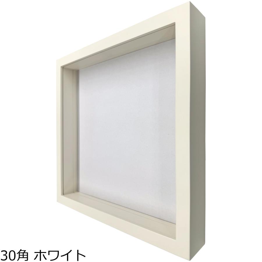 立体額 9790 ガラス付 /額縁内寸法:203×254(8×10) : 額縁のタカハシ
