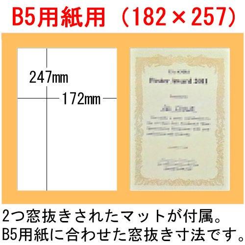 B4(258×365)サイズが2枚入る額縁 B013 アクリル付 2つ窓マット付 /額縁