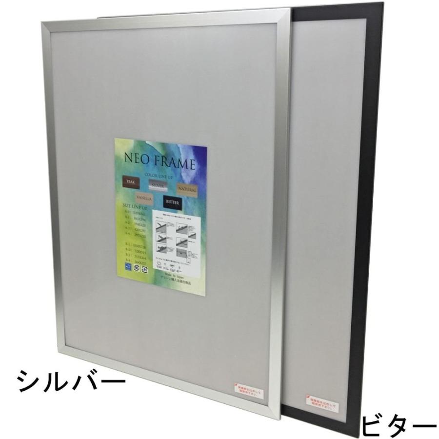 ジグソーパズル額 ネオフレーム 1ミリ厚透明シート付 /額縁内寸法(適合