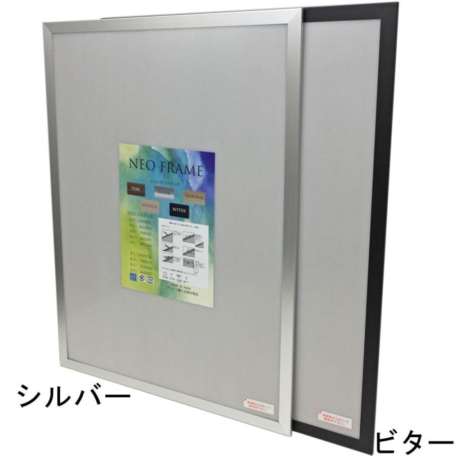 ジグソーパズル額 ネオフレーム 1ミリ厚透明シート付 /額縁内寸法(適合