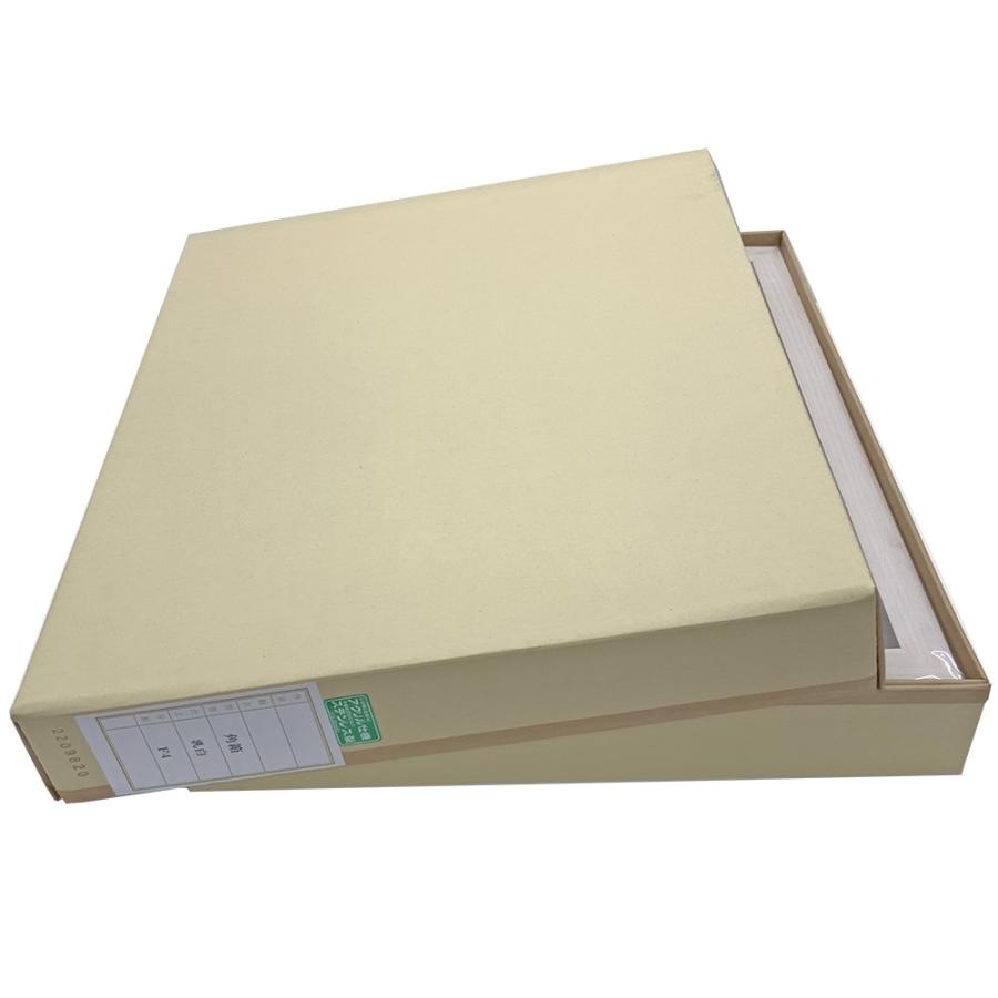 油絵額縁 角箱 アクリル付 /409×409(S6)のキャンバス・パネル用(厚さ26