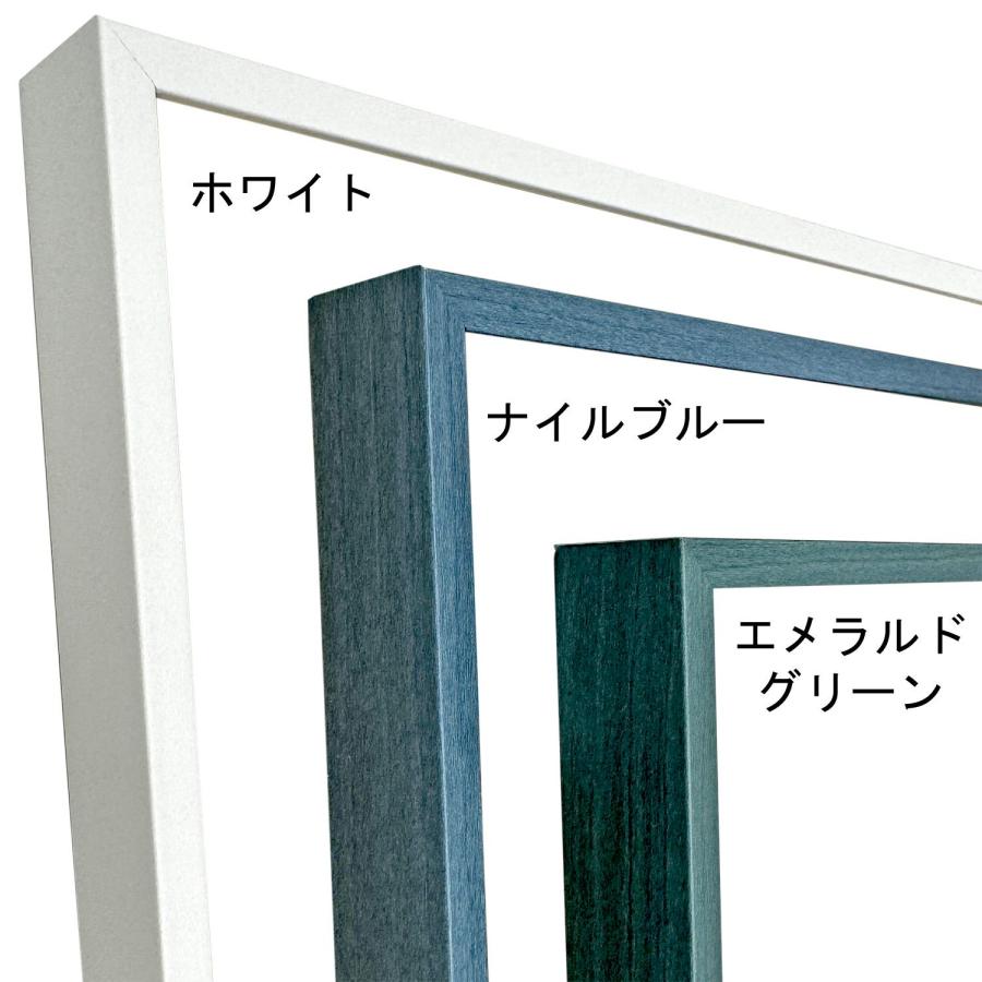 一般額(デッサン額) T25 UVカット強化型付 /額縁内寸法:654×806(水彩P15)の画像
