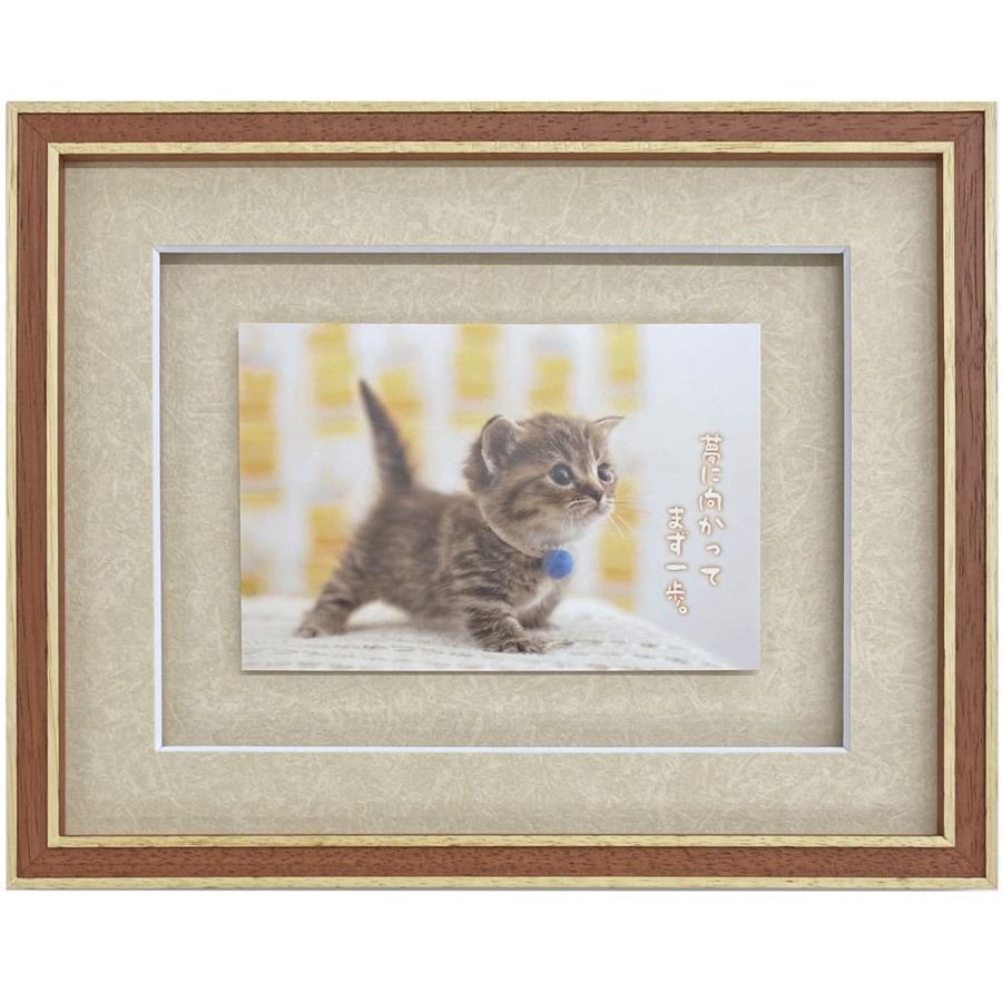 モナカ額縁セット ポストカード専用額 7910 UVカット強化型アクリル付 /額内寸:203