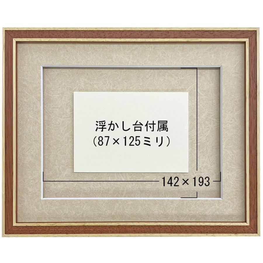 ポストカード専用額 7910 UVカット強化型アクリル付 /額内寸:203×254(8
