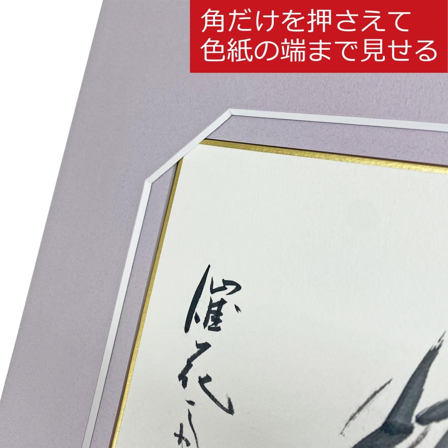 端まで見せるデザインマット仕様 保存額装特化色紙額 BH-15F UVカット