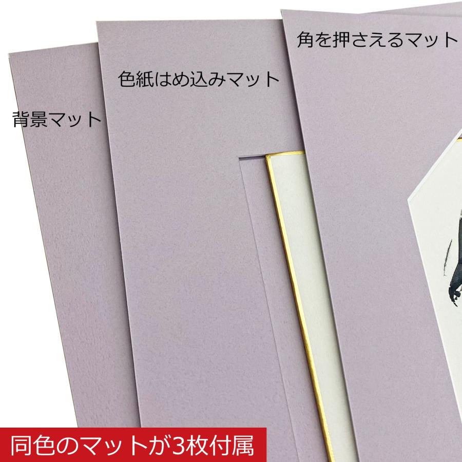 端まで見せるデザインマット仕様 保存額装特化色紙額 BH-15F UVカット強化型アクリル付 /額縁内寸法:300×331の画像