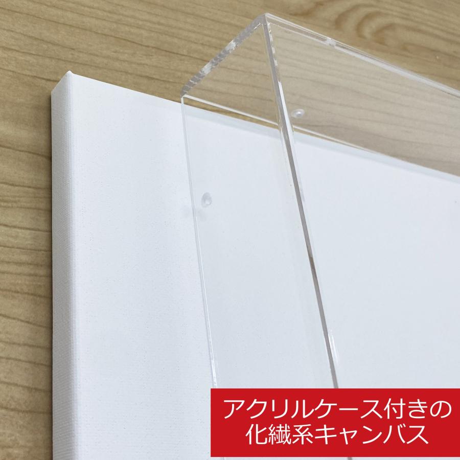 アクリルBOXフレーム キャンバス付 /455×530(F10) : 額縁のタカハシ