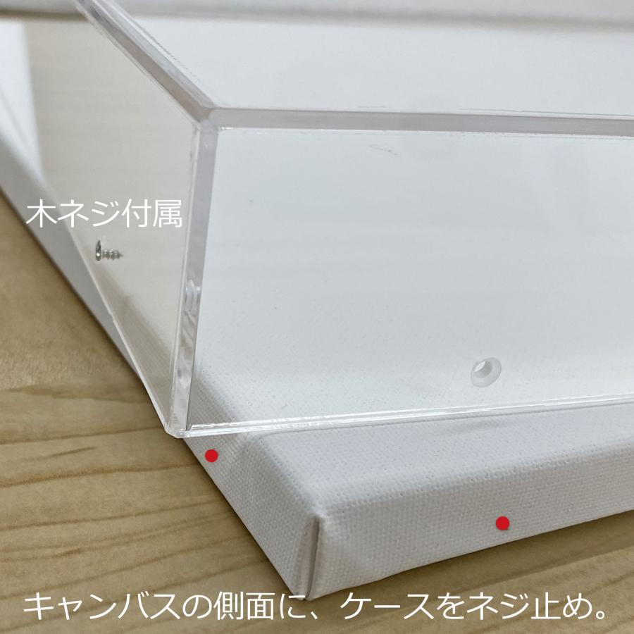 アクリルBOXフレーム キャンバス付 /455×530(F10) : 額縁のタカハシ