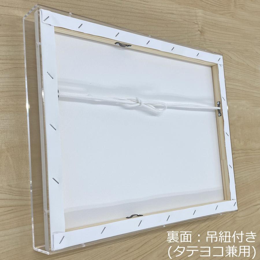 アクリルBOXフレーム キャンバス付 /455×530(F10) : 額縁のタカハシ