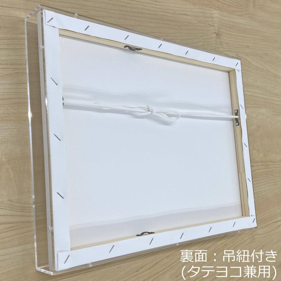 アクリルBOXフレーム キャンバス付 /455×530(F10) : 額縁の アクリルBOXフレーム キャンバス付 /455×530(F10) : 額縁の