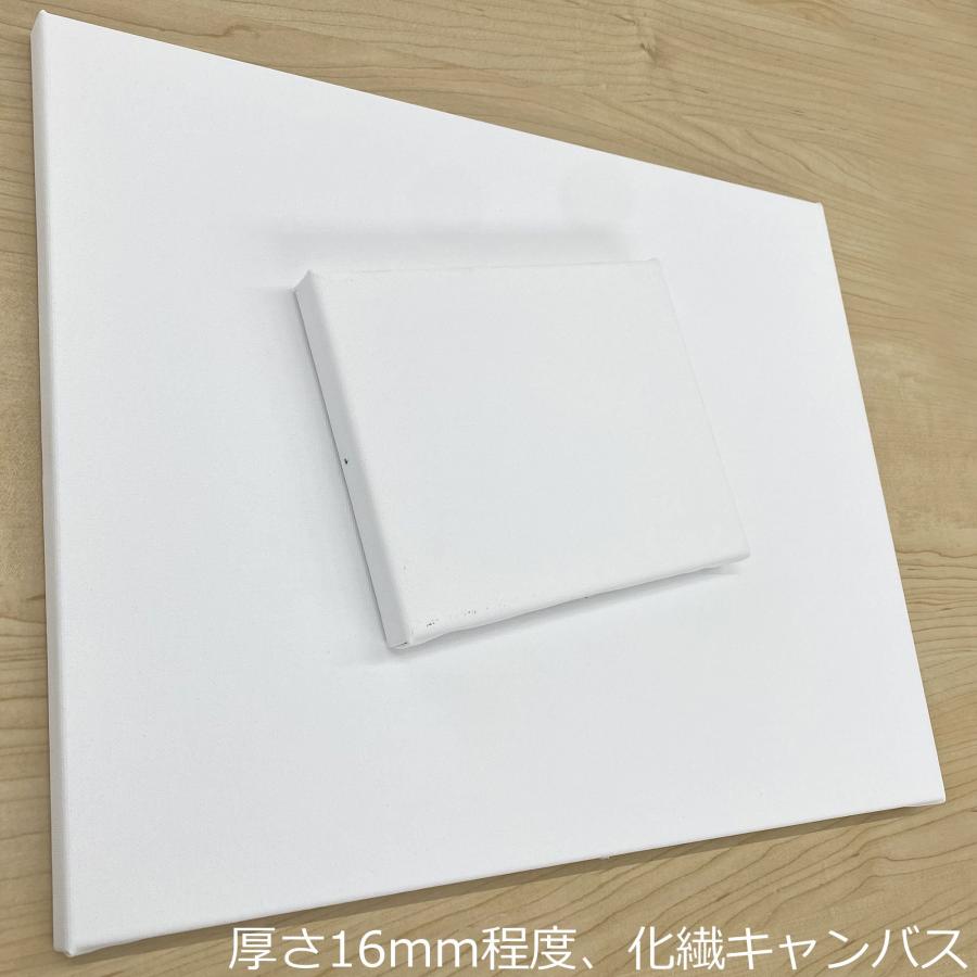 アクリルBOXフレーム キャンバス付 /455×530(F10) : 額縁のタカハシ